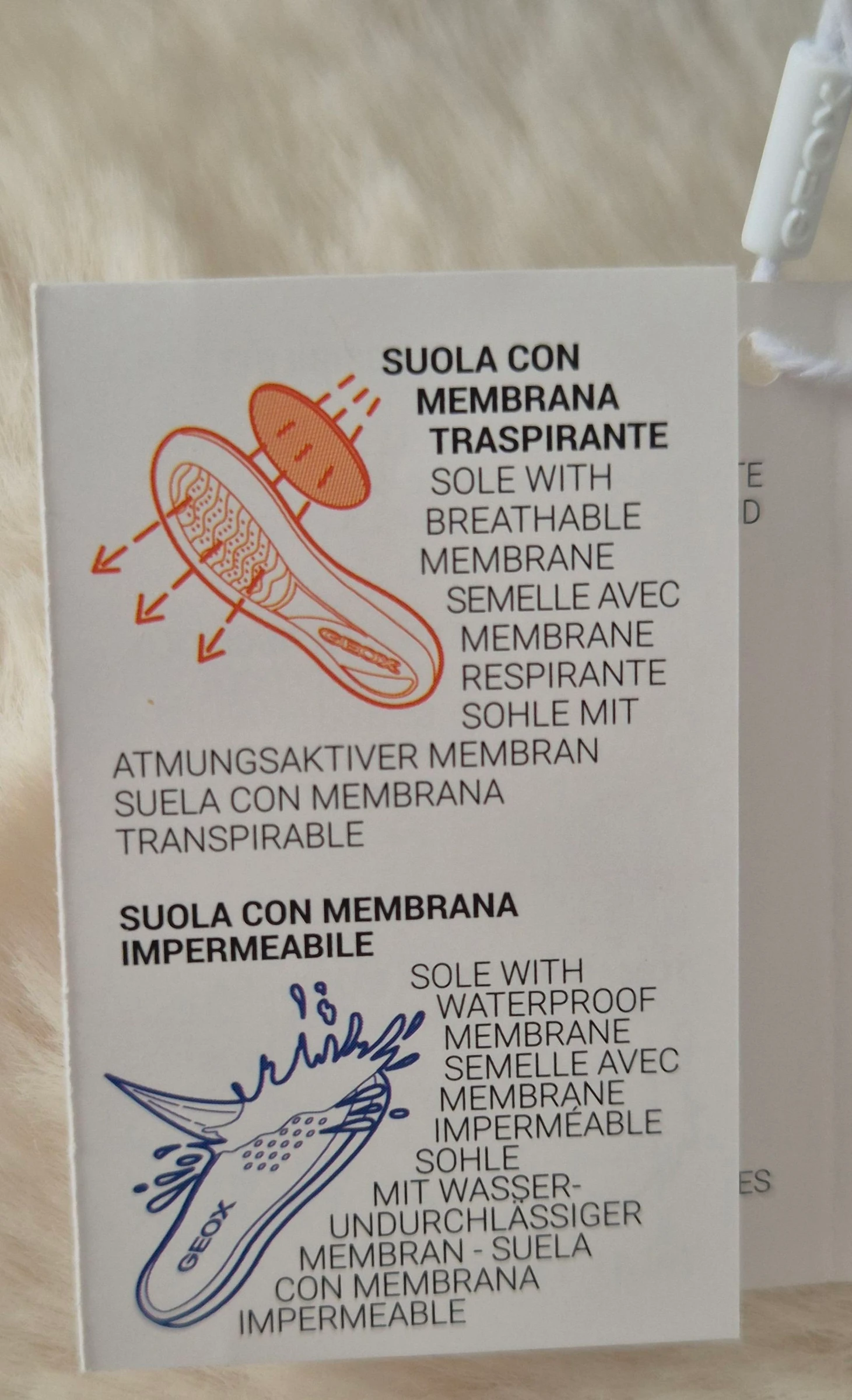 Sandalias – photo 4